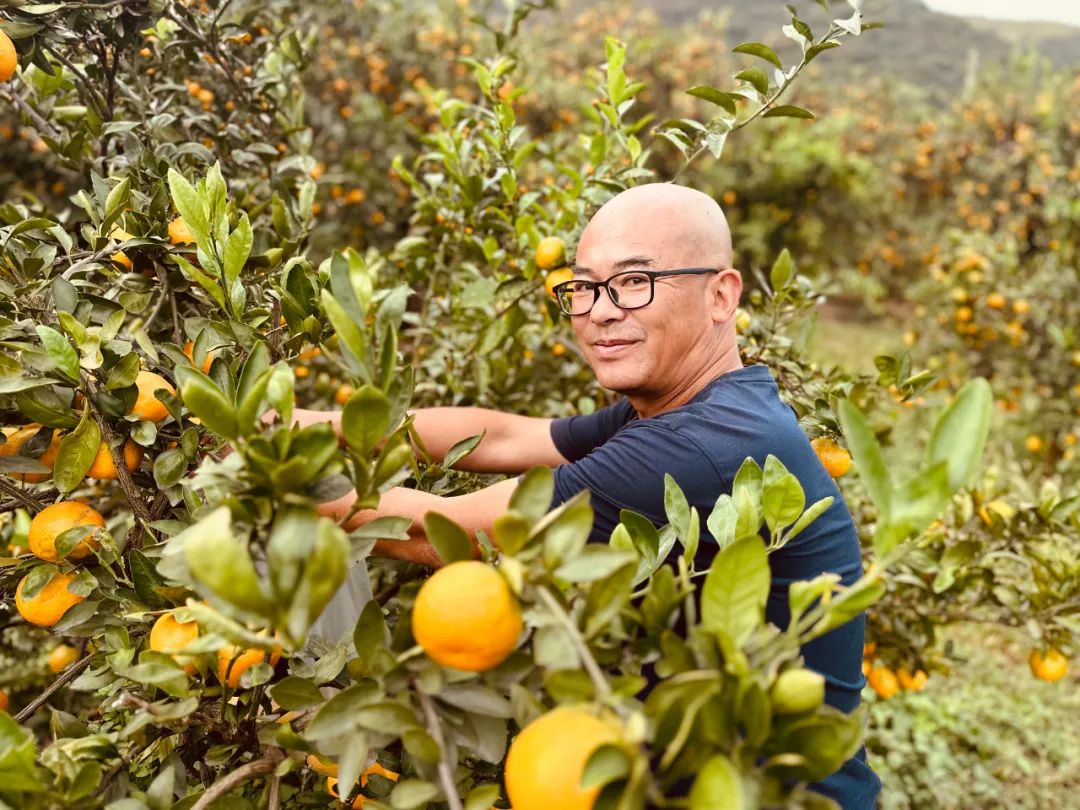 20231031d.jpg 20231031d.jpg